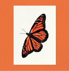 "Monarch" Print by Everyday Antonia Mae
