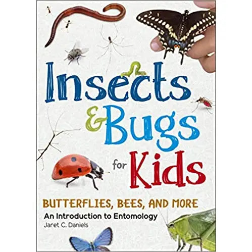 Insects and Bugs for Kids – North and Shore