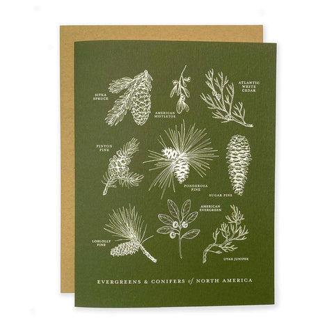 Evergreens & Conifers Card
