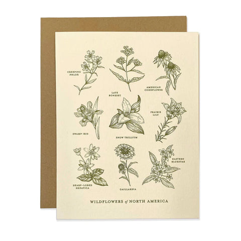Wildflowers of North America Card